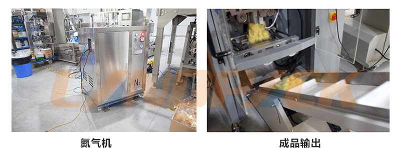 外置式氮?dú)鈾C(jī) 外置式氮?dú)鈾C(jī)